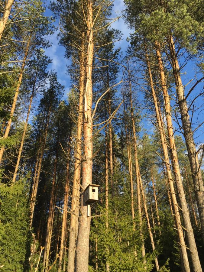 Willa Kaeaenu Puhkemaja Rakvere Zewnętrze zdjęcie